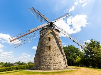 Enger-Liesbergmühle-Teutoburger-Wald-Tourismus-H-Tornow-004-CC-BY-SA.JPG Historische Steinwindmühle mit vier großen Flügeln an einem sonnigen Tag, umgeben von Bäumen.