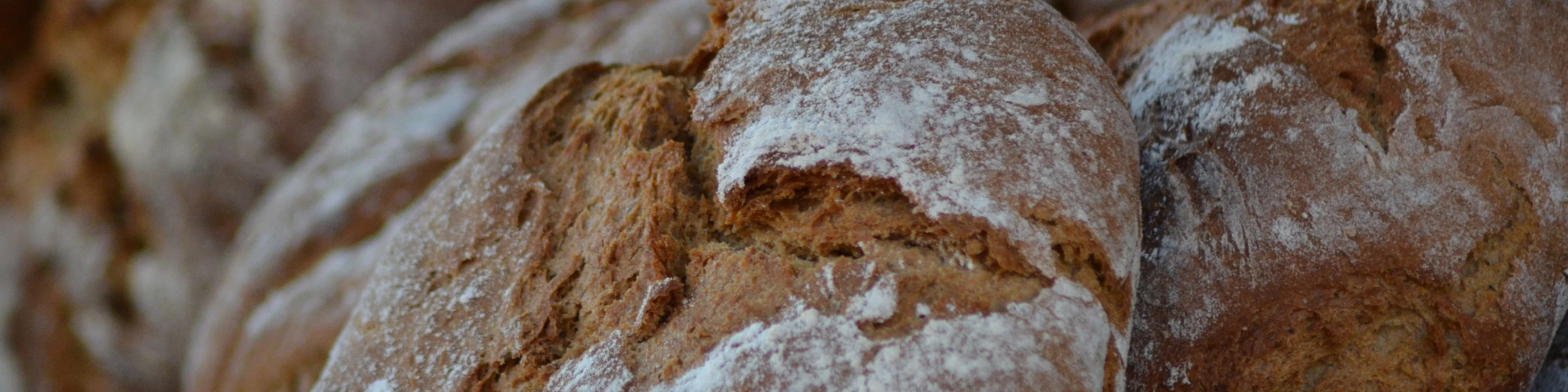 Brotleidenschaft by U. Roemer Brotleidenschaft by U. Roemer