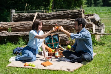 Harsewinkel-Picknick-Teutoburger-Wald-Tourismus-Patrick-Gawandtka-064.jpg Ein Paar genießt ein sommerliches Picknick im Grünen, umgeben von Natur und Holzstämmen.