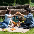 Harsewinkel-Picknick-Teutoburger-Wald-Tourismus-Patrick-Gawandtka-064.jpg Ein Paar genießt ein sommerliches Picknick im Grünen, umgeben von Natur und Holzstämmen.