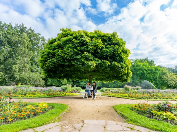 Guetersloh-BotanischerGarten-Teutoburger-Wald-Tourismus-Patrick-Gawandtka-017.jpg Eine prächtige, dicht belaubte Linde überdacht eine Bank auf einem gepflegten Gartenweg.