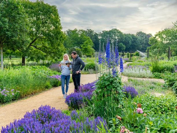 Guetersloh-BotanischerGarten-Teutoburger-Wald-Tourismus-Patrick-Gawandtka-018.jpg Paar spaziert auf einem Weg im blühenden Garten, umgeben von bunten Blumen und grünem Laub.