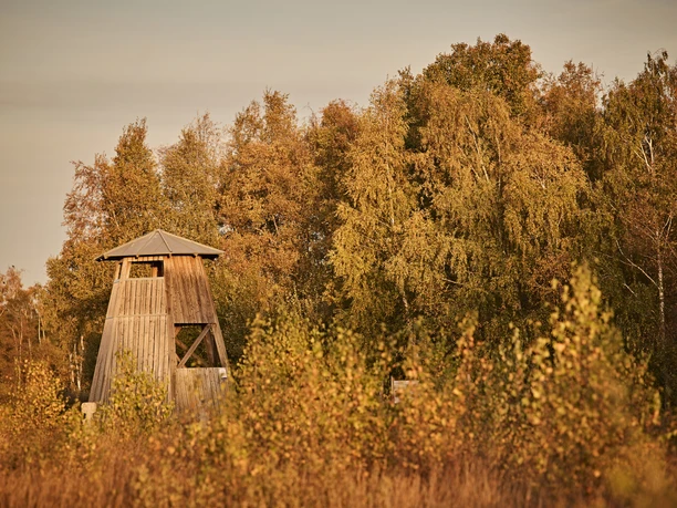 Aussichtsturm des Großen Torfmoors vor herbstlichem Wald