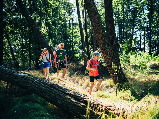 Wandern in der Luchsenburg