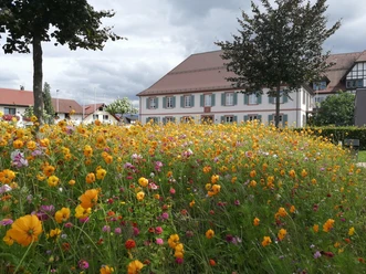 Pfarrgarten klein