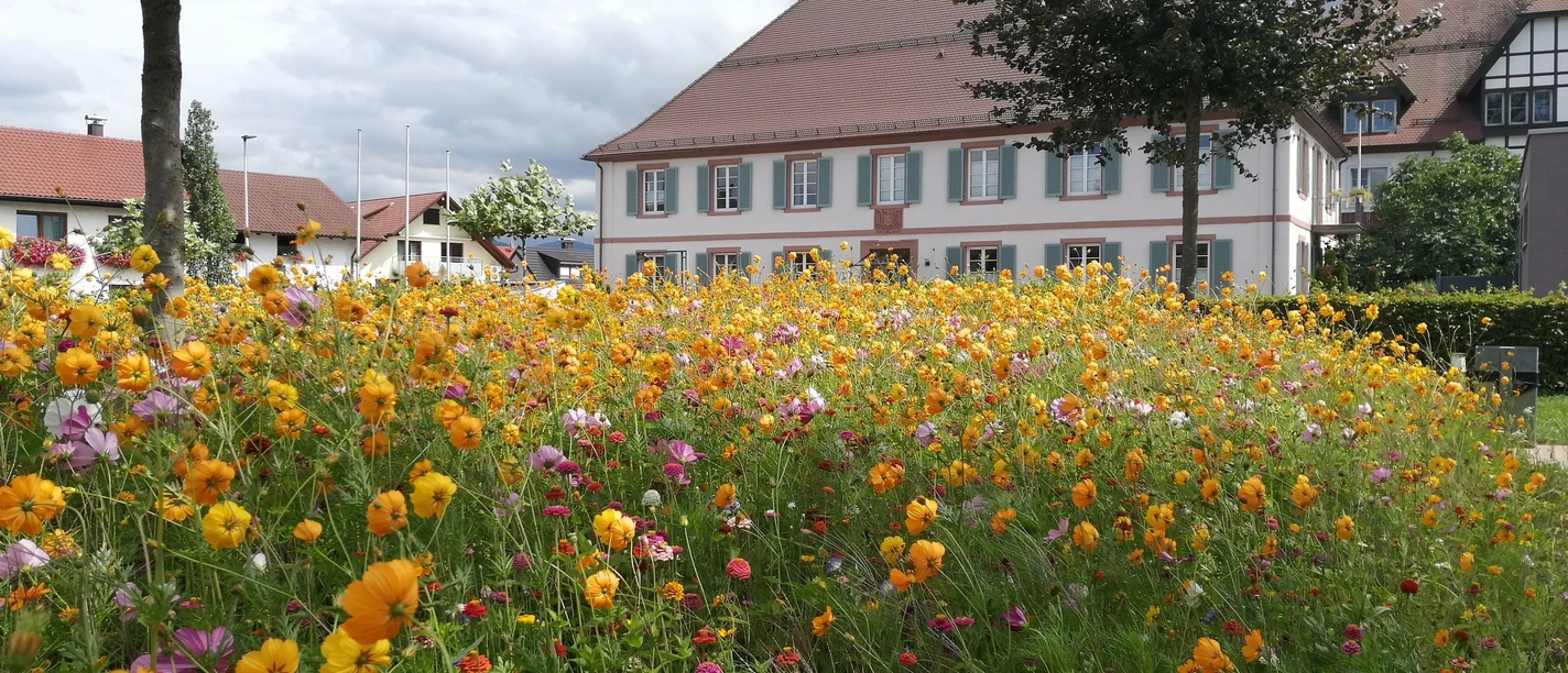 Pfarrgarten klein