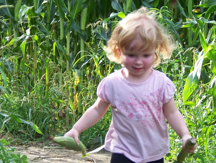 Maisterlabyrinth Benndorf © Landwirtschaftsbetrieb Tobias Karte.jpg