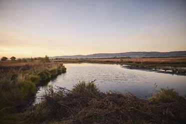 Großes Torfmoor-Teutoburger-Wald-Tourismus-M-Rothbrust-022.jpg Naturnahe, ruhige Seenlandschaft mit sanften Hügeln und herbstlichem Himmel im Hintergrund.