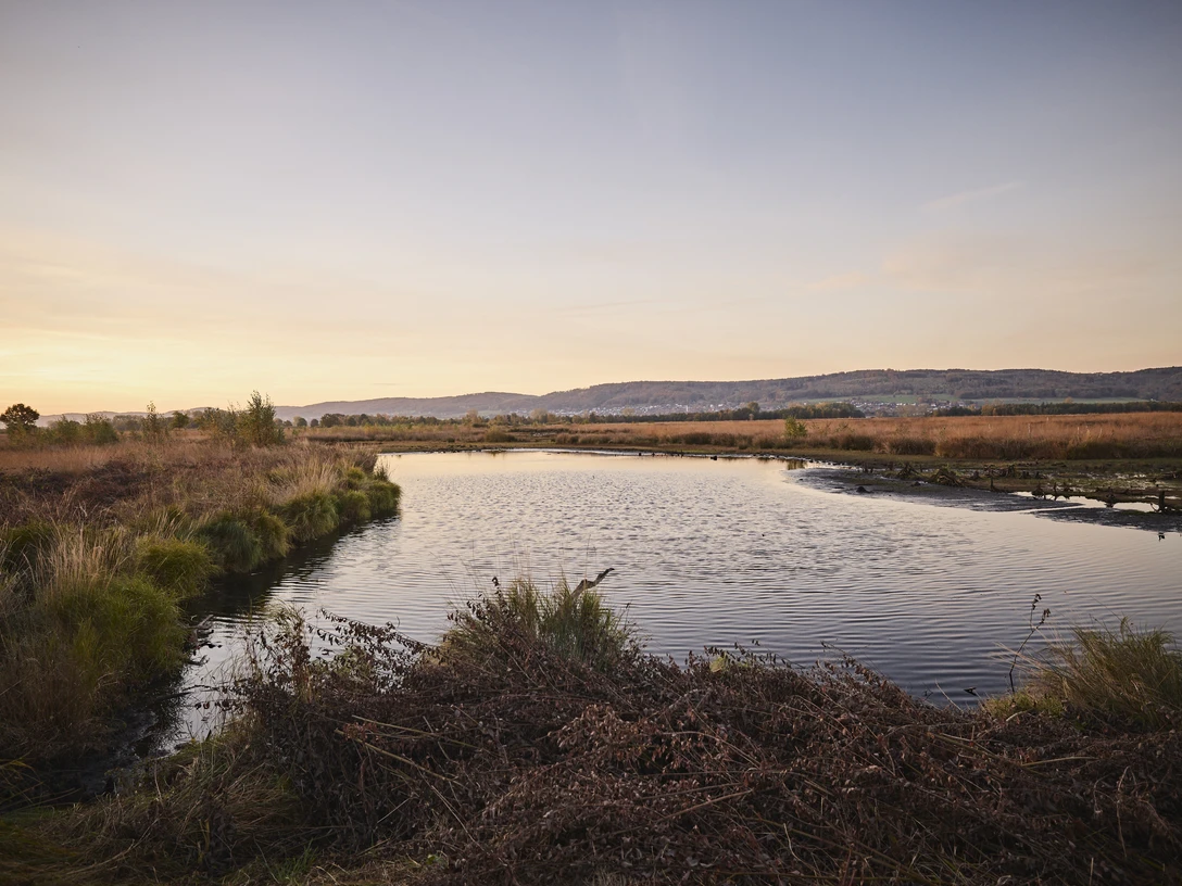 Großes Torfmoor-Teutoburger-Wald-Tourismus-M-Rothbrust-022.jpg Naturnahe, ruhige Seenlandschaft mit sanften Hügeln und herbstlichem Himmel im Hintergrund.