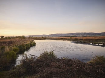 Großes Torfmoor-Teutoburger-Wald-Tourismus-M-Rothbrust-022.jpg Naturnahe, ruhige Seenlandschaft mit sanften Hügeln und herbstlichem Himmel im Hintergrund.