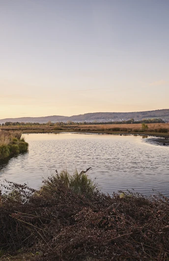 Hille-Torfmoor-Teutoburger-Wald-Tourismus-M-Rothbrust-022.jpg Naturnahe, ruhige Seenlandschaft mit sanften Hügeln und herbstlichem Himmel im Hintergrund.