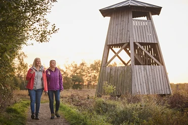 Großes Torfmoor-Teutoburger-Wald-Tourismus-M-Rothbrust-035.jpg Zwei Frauen wandern auf einem Naturpfad neben einem hölzernen Aussichtsturm bei Sonnenuntergang.