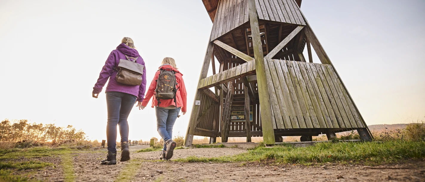 Großes Torfmoor-Teutoburger-Wald-Tourismus-M-Rothbrust-059.jpg Zwei wandernde Personen mit Rucksäcken gehen bei Sonnenuntergang auf einen hölzernen Aussichtsturm zu.