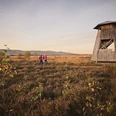 Großes Torfmoor-Teutoburger-Wald-Tourismus-M-Rothbrust-066.jpg Drei Personen spazieren bei Sonnenuntergang durch eine herbstliche Heidelandschaft neben einem hölzernen Aussichtsturm.
