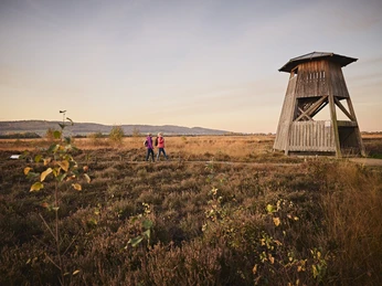 Hille-Torfmoor-Teutoburger-Wald-Tourismus-M-Rothbrust-066.jpg Drei Personen spazieren bei Sonnenuntergang durch eine herbstliche Heidelandschaft neben einem hölzernen Aussichtsturm.