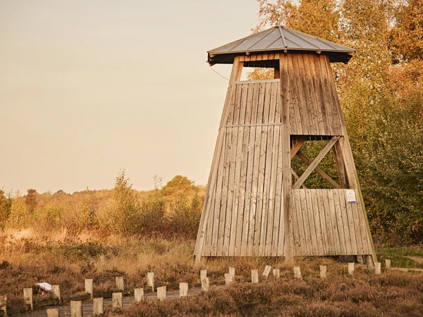 Großes Torfmoor-Teutoburger-Wald-Tourismus-M-Rothbrust-095.jpg Ein hölzerner Aussichtsturm in herbstlicher Landschaft, umgeben von Bäumen und Sträuchern.