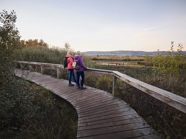 Großes Torfmoor-Teutoburger-Wald-Tourismus-M-Rothbrust-005.jpg Zwei Personen spazieren gemeinsam auf einem hölzernen Pfad durch eine herbstliche, bewachsene Landschaft.