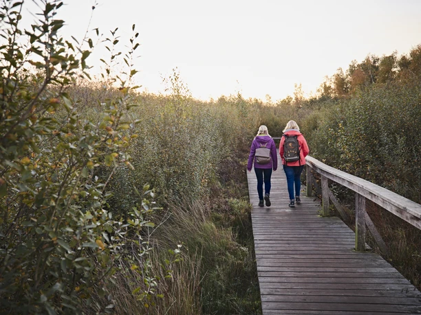 Großes Torfmoor-Teutoburger-Wald-Tourismus-M-Rothbrust-010.jpg Zwei Menschen mit Rucksäcken spazieren auf einem Holzsteg in einer grünen, ländlichen Umgebung.