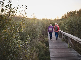 Hille-Torfmoor-Teutoburger-Wald-Tourismus-M-Rothbrust-010.jpg Zwei Menschen mit Rucksäcken spazieren auf einem Holzsteg in einer grünen, ländlichen Umgebung.