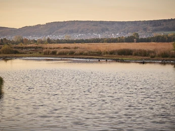 Großes Torfmoor-Teutoburger-Wald-Tourismus-M-Rothbrust-021.jpg See im Vordergrund, umgeben von Herbstlandschaft, sanfte Hügel und Waldbewuchs im Hintergrund.