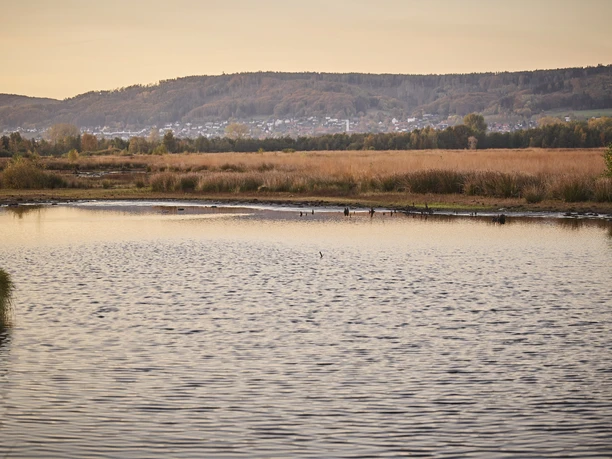 Großes Torfmoor-Teutoburger-Wald-Tourismus-M-Rothbrust-021.jpg See im Vordergrund, umgeben von Herbstlandschaft, sanfte Hügel und Waldbewuchs im Hintergrund.