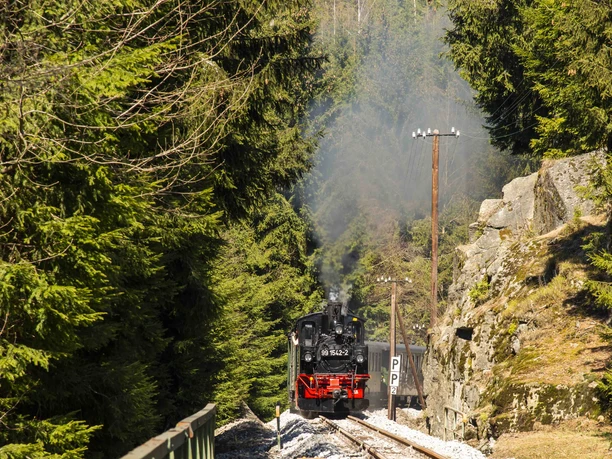 20190419_0010_PTB.jpg