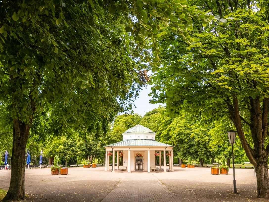 Horn-Bad Meinberg-Kurpark-Teutoburger-Wald-Tourismus-D-Ketz-104-CC-BY-SA.jpg Ein Pavillon mit historischem Charm, umgeben von schattenspendenden Bäumen in einem gepflegten Park.