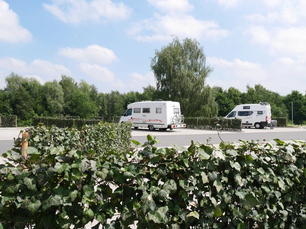 Zwei Wohnmobile parken auf einem von Hecken umgebenen, sonnenbeschienenen Stellplatz.