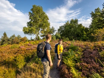 Lippischer Velmerstot-Kreis Lippe-Teutoburger-Wald-Tourismus-D-Ketz-011.jpg Zwei Wanderer spazieren auf einem Heidepfad in Horn-Bad Meinberg, umgeben von blühender Natur.