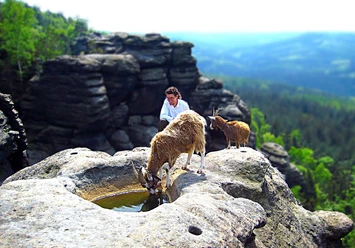 Ein Mann in weißem Hemd sitzt auf einem Felsen neben zwei Ziegen, die aus einer Wasserstelle trinken, mit einer felsigen Landschaft im Hintergrund.