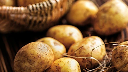 Kartoffelfest
