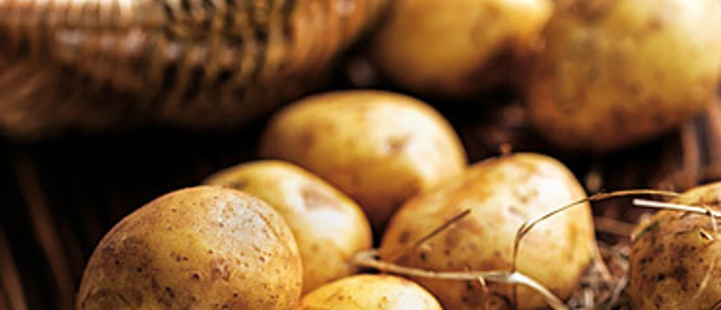 Kartoffelfest