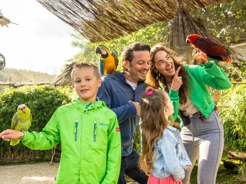 Detmold-Vogelpark Heiligenkirchen-Teutoburger-Wald-Tourismus-D-Ketz-031.jpg Eine fröhliche Familie im Tierpark posiert mit bunten Papageien auf den Schultern und Armen.