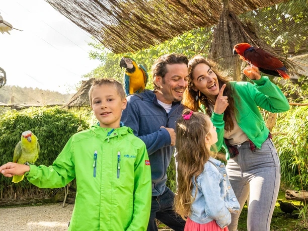 Detmold-Vogelpark Heiligenkirchen-Teutoburger-Wald-Tourismus-D-Ketz-031.jpg Eine fröhliche Familie im Tierpark posiert mit bunten Papageien auf den Schultern und Armen.