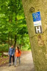 Detmold-Wanderweg Hermannshöhen-Teutoburger-Wald-Tourismus-D-Ketz-027.jpg Wanderer gehen auf einem Waldweg, ein Baum trägt ein blaues Schild mit der Aufschrift "E1 H".