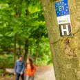 Detmold-Wanderweg Hermannshöhen-Teutoburger-Wald-Tourismus-D-Ketz-027.jpg Wanderer gehen auf einem Waldweg, ein Baum trägt ein blaues Schild mit der Aufschrift "E1 H".