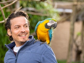 Mann lächelt mit buntem Papagei auf der Schulter in natürlicher Umgebung.