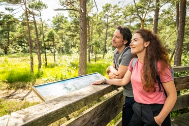 Detmold-Hiddeser Bent-Pivitker Wasserweg-Teutoburger-Wald-Tourismus-D-Ketz-078.jpg Ein Paar steht lächelnd an einem hölzernen Geländer in einem sonnigen Waldgebiet.