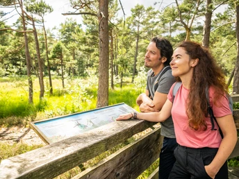 Detmold-Hiddeser Bent-Pivitker Wasserweg-Teutoburger-Wald-Tourismus-D-Ketz-078.jpg Ein Paar steht lächelnd an einem hölzernen Geländer in einem sonnigen Waldgebiet.