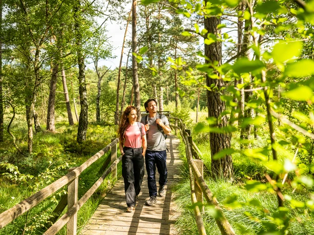 Detmold-Hiddeser Bent-Pivitker Wasserweg-Teutoburger-Wald-Tourismus-D-Ketz-077.jpg Ein Paar spaziert auf einem hölzernen Steg durch einen sonnigen, grünen Wald in Detmold.
