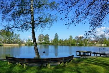 Een rustig meer met een steiger en een gebogen houten bank op de voorgrond, omringd door bomen onder een helderblauwe hemel.