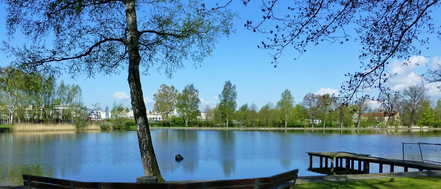 Een rustig meer met een steiger en een gebogen houten bank op de voorgrond, omringd door bomen onder een helderblauwe hemel.