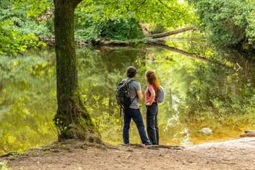 Detmold-Donoper Teich-Pivitker Wasserweg-Teutoburger-Wald-Tourismus-D-Ketz-089.jpg Zwei Wanderer stehen am Ufer eines idyllischen Waldbachs, umgeben von üppigem Grün der Natur.