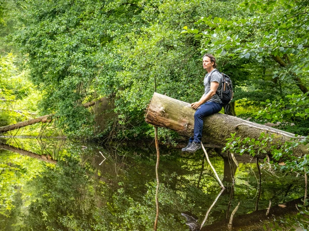 Detmold-Donoper Teich-Pivitker Wasserweg-Teutoburger-Wald-Tourismus-D-Ketz-091.jpg Ein Wanderer sitzt auf einem umgestürzten Baumstamm am Ufer eines stillen, bewaldeten Flusses.
