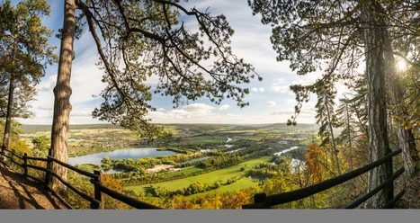 Panoramablick auf die Weser bei Höxter, umrahmt von Bäumen, im goldenen Licht des Spätnachmittags.