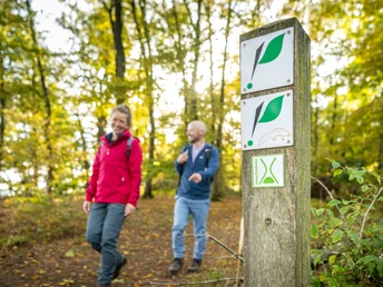 Zwei Wanderer auf einem Waldweg bei Höxter, neben einem Wegweiser mit Markierungen und Herbstlaub.