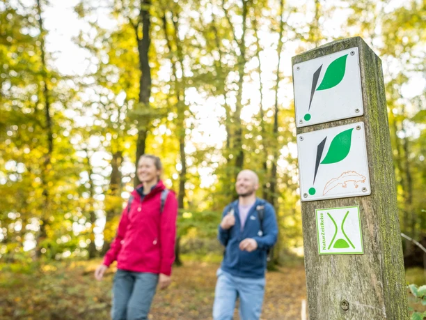 Zwei Wanderer im roten und blauen Outfit spazieren durch einen herbstlichen Wald mit Wegweisern.