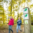 Hoexter-Rabenklippen-Teutoburger-Wald-Tourismus-D-Ketz-113.jpg Zwei Wanderer im roten und blauen Outfit spazieren durch einen herbstlichen Wald mit Wegweisern.