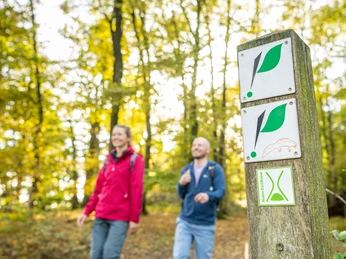 Hoexter-Rabenklippen-Teutoburger-Wald-Tourismus-D-Ketz-113.jpg Zwei Wanderer im roten und blauen Outfit spazieren durch einen herbstlichen Wald mit Wegweisern.