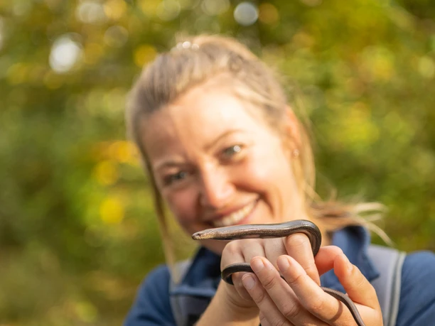 Hoexter-Rodeneck-Turm-Teutoburger-Wald-Tourismus-D-Ketz-095.jpg Eine lächelnde Frau in freier Natur hält eine kleine Schlange in den Händen. Im Hintergrund unscharfes Grün.